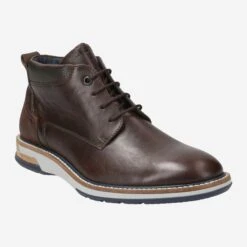 Lloyd Art.  21-563-12* GARRARD Braun