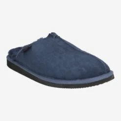 Shepherd Art.  Hugo Blau