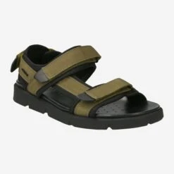 GEOX Art.  XAND Grün