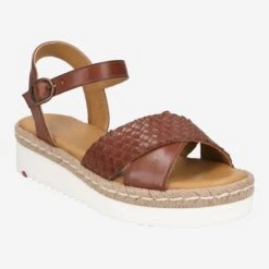 Lloyd Art.  11-603-02 Braun