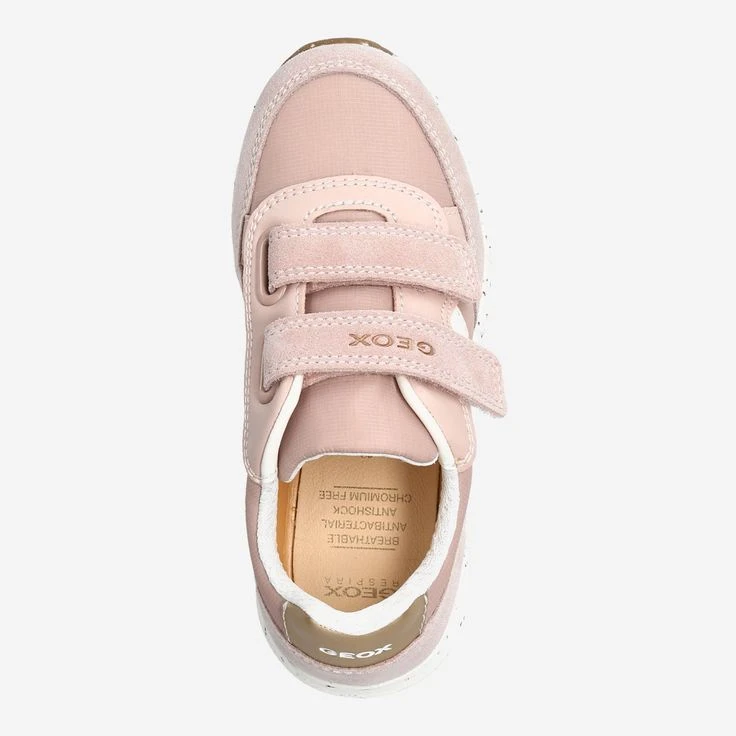 GEOX Art. ALBEN Beige 5 GEOX Art. ALBEN Beige – Bild 5